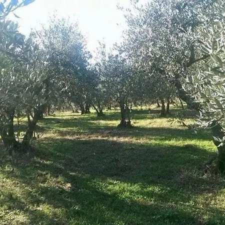 Casa Majella Di Casale Corneto * Bomba